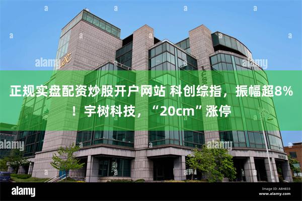 正规实盘配资炒股开户网站 科创综指，振幅超8%！宇树科技，“20cm”涨停